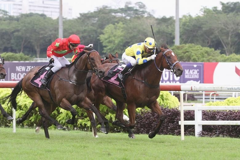Muraahib (right) in one of his three wins.