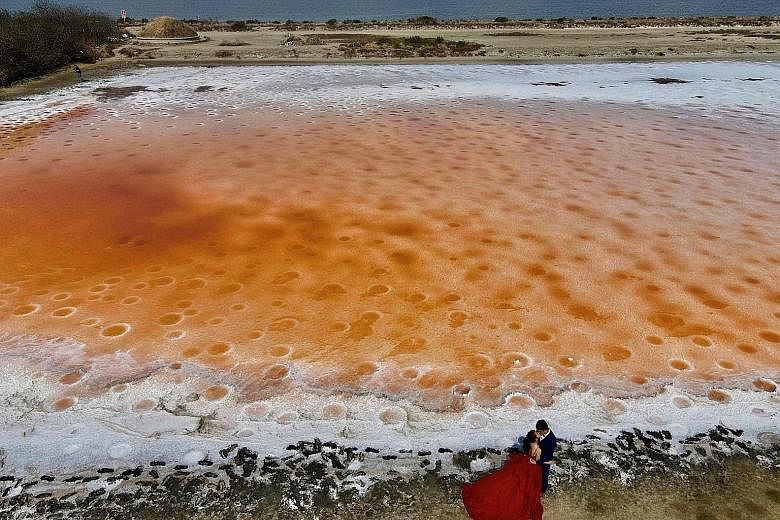 This couple had a more unconventional setting in mind for their wedding photo shoot in Tainan city, Taiwan, on Wednesday - a salt field whose unusual colour was caused by a lack of rain. Taiwan is suffering from its worst drought in decades. The isla
