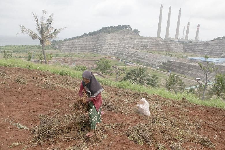 A farmer working the land near the power plant site. Conservationists say the 2,000MW coal-fired plant will add to pollution affecting nearby villages. The construction site of the Jawa 9 and 10 power plant in Banten province, west of Jakarta. A cons