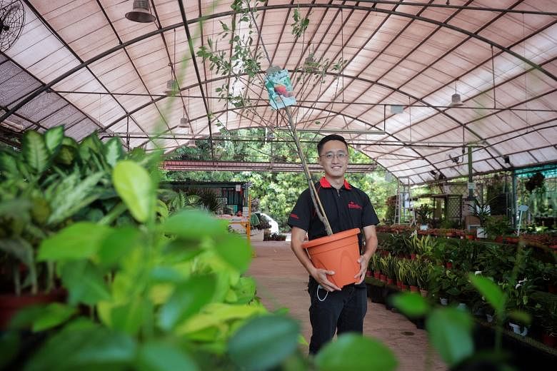 Mr Ken Ong, who used to work in the tourism industry, joined the landscaping sector about a year ago. The landscape coordinator says he finds the job rewarding even though he now earns about 20 to 30 per cent less than before.