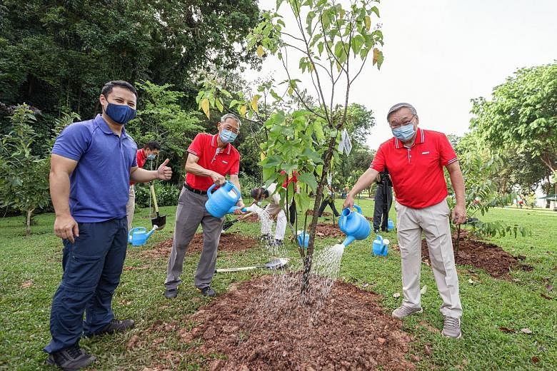 (From far left) National Development Minister Desmond Lee, Keppel Care Foundation chairman Lee Boon Yang and Keppel Corp chairman Danny Teoh at a tree-planting event in Labrador Nature Reserve yesterday. Keppel Corp contributed 50 trees to the reserv