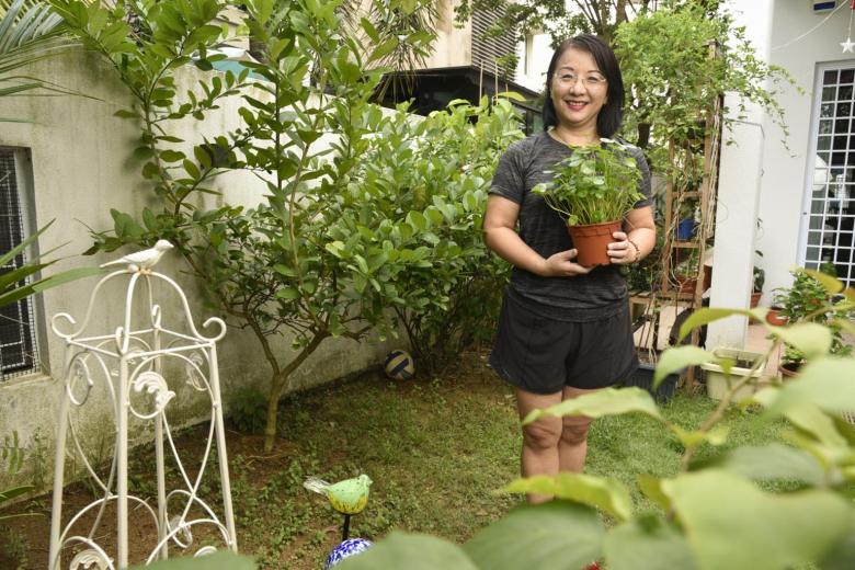 Edibles gardening takes root in Singapore The Straits Times