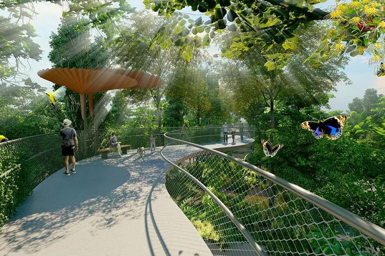 Artist's impressions of the upcoming Bukit Timah-Rochor Green Corridor, with the first phase consisting of an elevated sky park above the Bukit Timah Canal that will connect to the Rail Corridor near the former Bukit Timah Railway Station. Subsequent