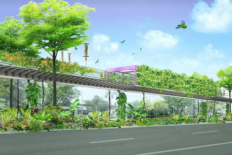 Artist's impressions of the upcoming Bukit Timah-Rochor Green Corridor, with the first phase consisting of an elevated sky park above the Bukit Timah Canal that will connect to the Rail Corridor near the former Bukit Timah Railway Station. Subsequent