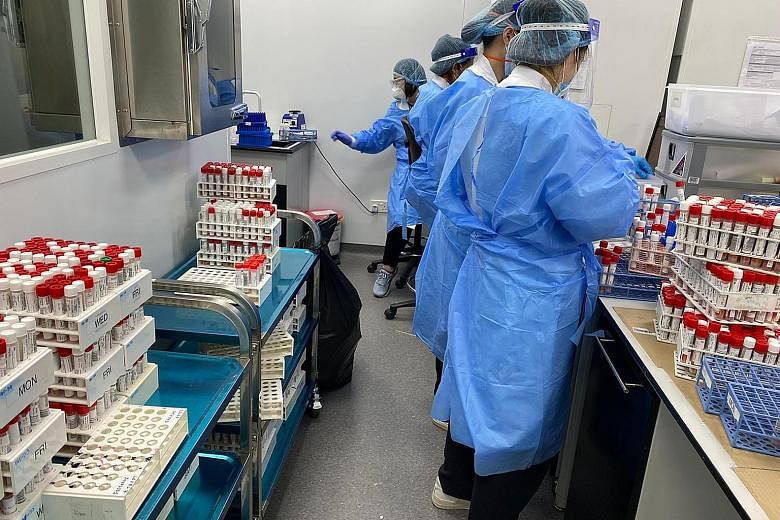 Parkway Laboratories staff processing Covid-19 swabs last Friday. To cope with the increased workload, it has increased manpower, with some laboratory technicians working longer shifts or volunteering to work on their days off. PHOTO: PARKWAY LABORAT