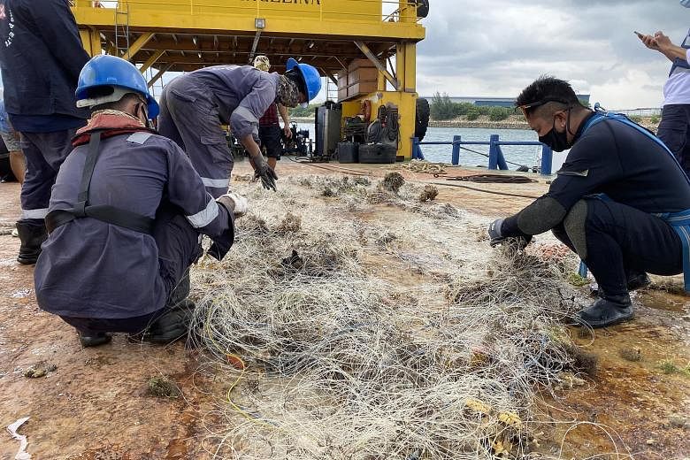 Volunteers worked with the Maritime and Port Authority of Singapore to retrieve a drift net on May 21 that likely caused the death of an endangered hawksbill turtle. Casualties of indiscriminate fishing practices include (from left) hard coral off La
