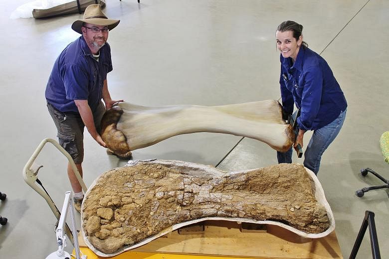 Dr Scott Hocknull, a palaeontologist at Queensland Museum, and Dr Robyn Mackenzie, a director of the Eromanga Natural History Museum, with a 3D reconstruction of the humerus of the Australotitan cooperensis. The gigantic dinosaur is estimated to be a