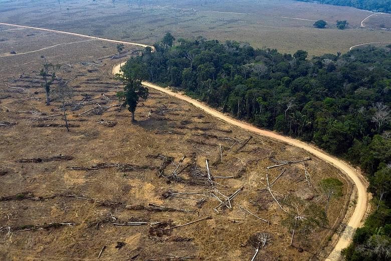 An August 2019 photo showing burnt areas of the Amazon rainforest in Brazil. A 2018 paper said the Amazon generates about half of its own rainfall by recycling moisture through evaporation and transpiration. But deforestation could cause the cycle to
