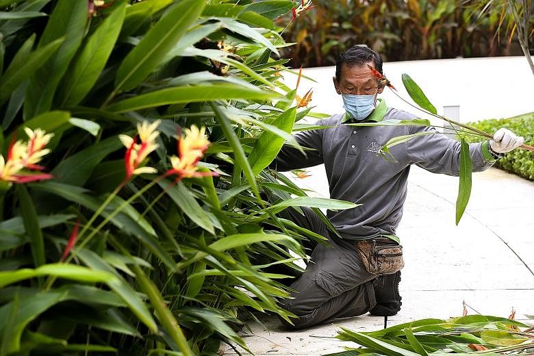 LANDSCAPE MAINTENANCE Mr Lim Goh Heng, 72, at work at The Orchard Residences on May 19. He now earns just over $2,000 a month - an increase which he attributes to the Progressive Wage Model. SECURITY INDUSTRY Competition is stiff in this sector. In s