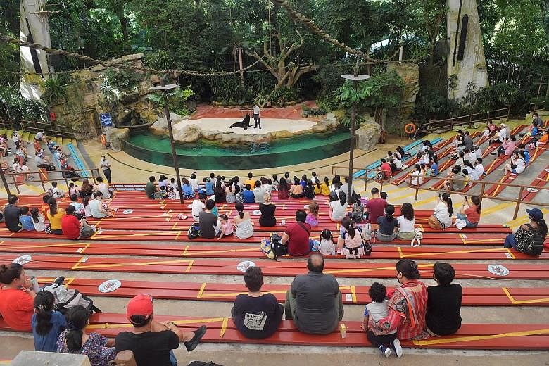 Visitors at the Singapore Zoo yesterday. With the easing of restrictions on group sizes from two to five persons, larger groups of people were seen at parks and attractions. But many continued to take a cautious approach to public gatherings, with co