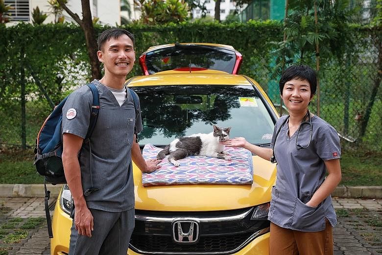 VetMobile founders Choo Zheng Hao and Angeline Yang with their adopted cat Aunty Rosie and the car they use for their house-call services. The couple's mobile veterinary service offers both Western medicine and traditional Chinese treatments such as 