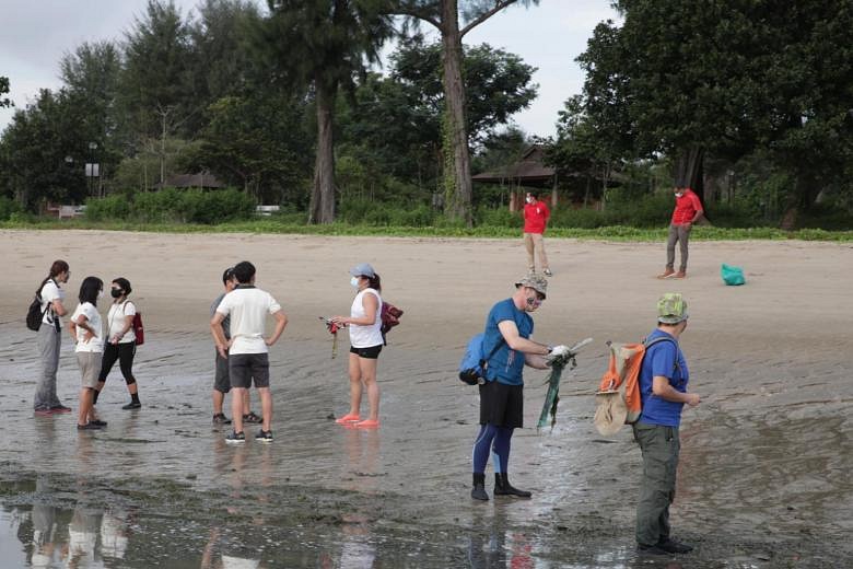 Letter of the week: Pollution a bigger threat to beaches than ...