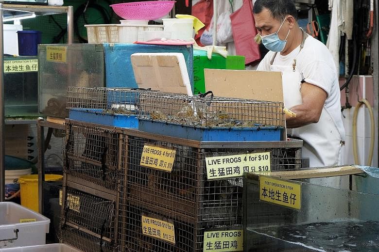 Live frogs for sale at the Chinatown Complex wet market in May last year. The review of the treatment of live animals sold for food was announced in Parliament in April last year, after health concerns were raised about possible disease transmission 