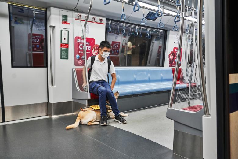 Visually impaired face challenges on public transport Study The