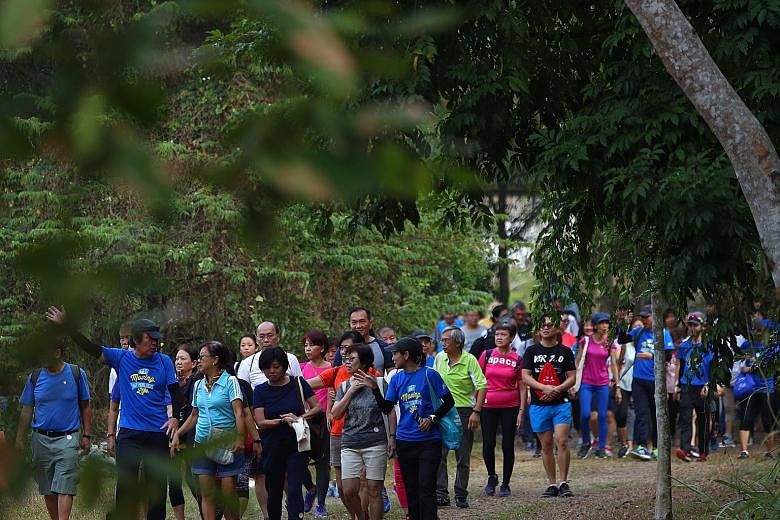 Participants of the Silver Challenge on a walk at Tampines Eco Green in 2019. The HPB's lapses pertained to the National Steps Challenge seasons 1 to 5, which ended between one and five years prior to the audit. The AGO's checks found an excess of 26