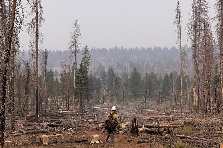 A firefighter from New Mexico checking for smouldering debris from the Bootleg Fire near Paisley, Oregon, in the United States on Friday. A fire over an area 25 times the size of Manhattan has raged for weeks in the state, aided by a record-shatterin