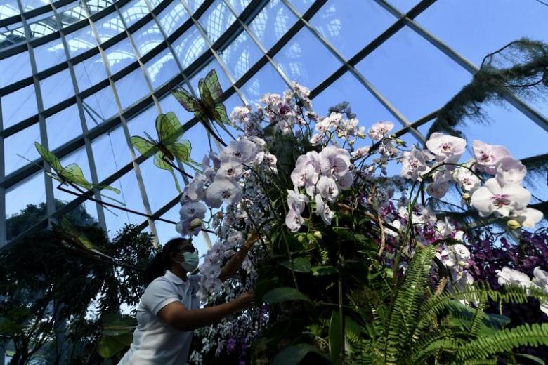 Orchid Haven Housing Over 1 000 Orchids Opens At Cloud Forest In Gardens By The Bay The Straits Times