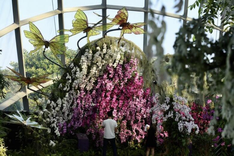 Orchid Haven Housing Over 1 000 Orchids Opens At Cloud Forest In Gardens By The Bay The Straits Times