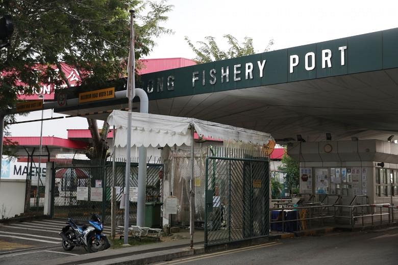 visit jurong fishery port