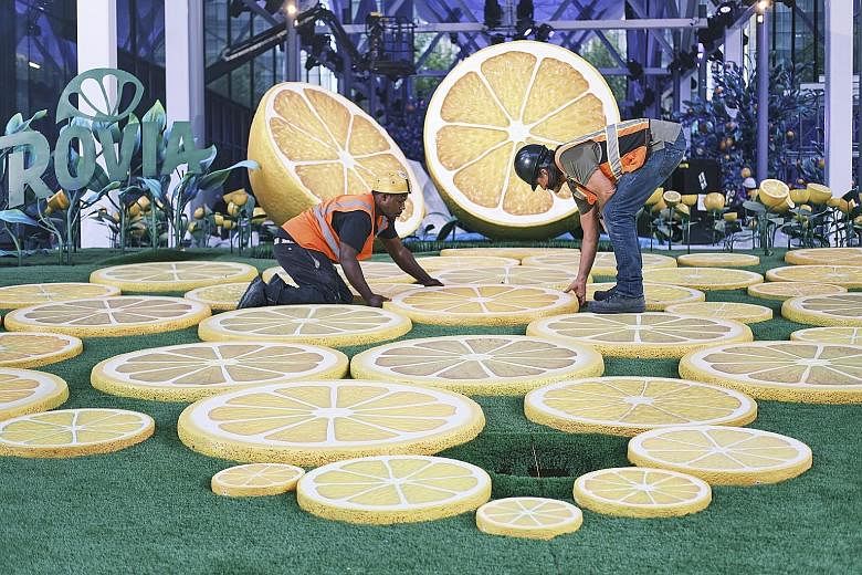Citrovia, an art installation of fake lemon trees and slices, at a New York construction site. Construction sheds are a necessary evil, meant to protect workers and passers-by, but recent efforts have reimagined them as "experiential installations". 