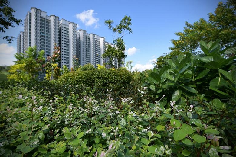 Singaporeans Prioritise Green Spaces, Affordable Housing In URA Poll On Long-term Land Use Plans ...