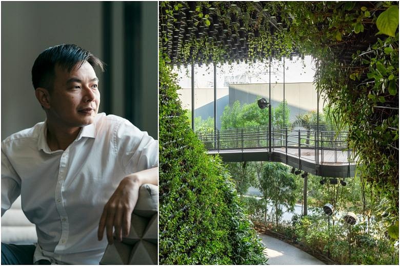 Singapore at Expo 2020: Architects build a scalable 'oasis' | The ...