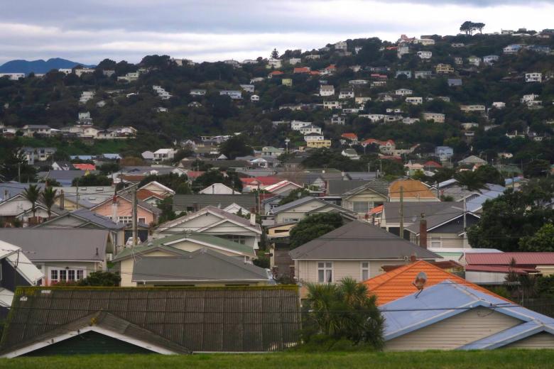 'Berserk' New Zealand house price rises to calm next year, fall in 2023