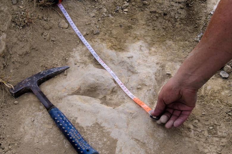Footprints in Spain show meateating dinosaurs were fast and furious