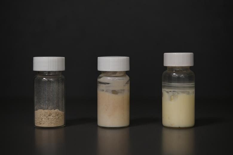 Bottles containing (from left) the plant-based emulsifier, plant-based mayonnaise and store-bought mayonnaise.