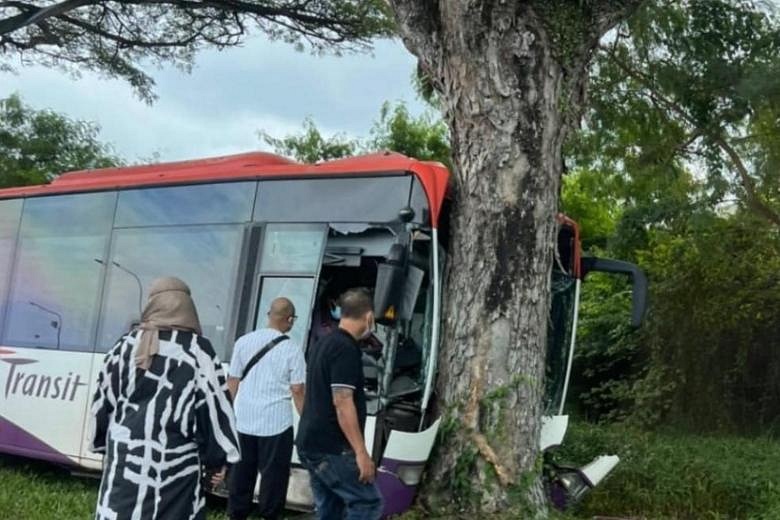 Six people injured after bus crashes into tree along TPE slip road ...