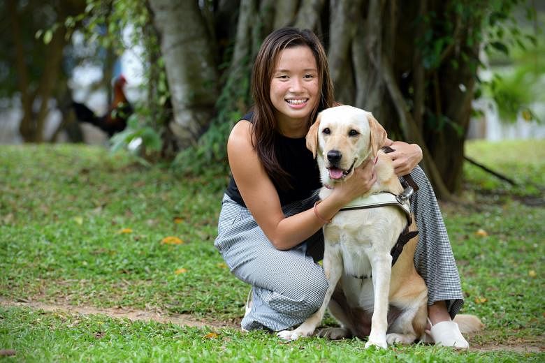 Orinda & Me: Bagaimana anjing pemandu membantu tunanetra di S’pore mengatasi tantangan pandemi