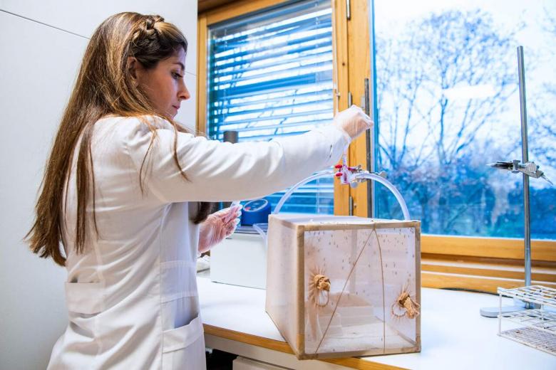 Swedish lab eyes poisoned chalice in malaria fight The Straits Times