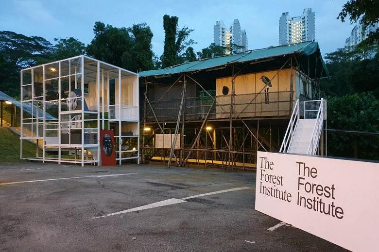 Singapore Art Week : Un séjour à The Forest Institute m’a ouvert les yeux sur la nature