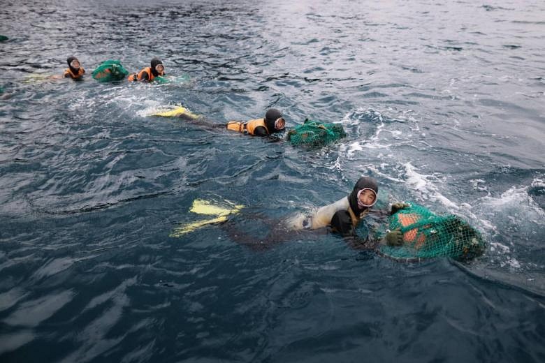 'Women of the sea': Jeju haenyeo, an extreme job putting fresh seafood ...