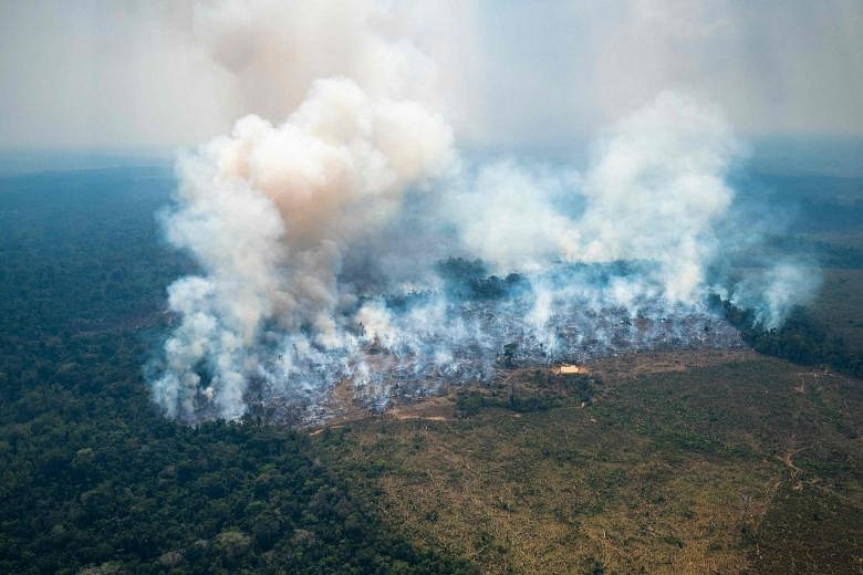 Record heat, forest fires in Colombia's Amazon in January | The Straits ...