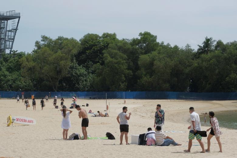 100 sensors to be installed in Sentosa to prevent trees from falling ...