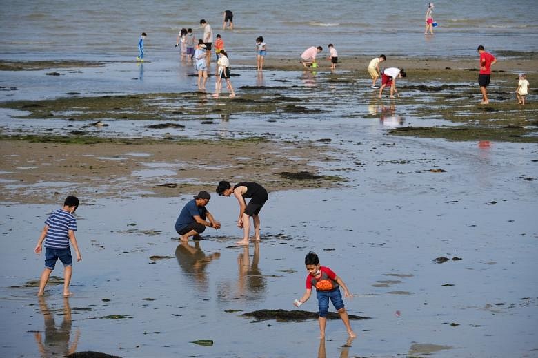 More NParks officers, volunteers deployed to remind visitors of ...