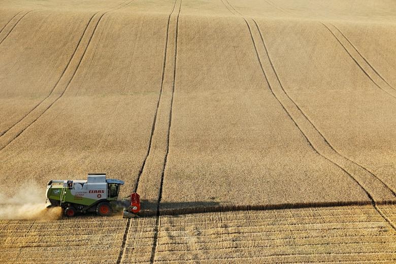 Russia temporarily limits sugar, grain exports | The Straits Times