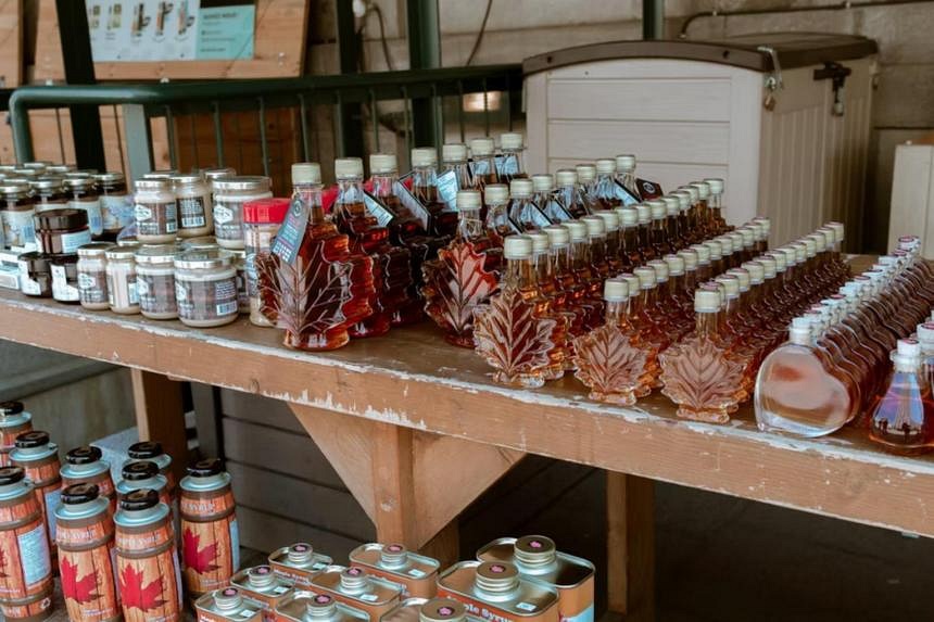 Man Behind Canada S Maple Syrup Heist Ordered To Pay 9 8 Million Fine   AK Ms 010422 