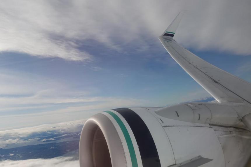 Fly less? Go vegan? How people can take climate action | The Straits Times