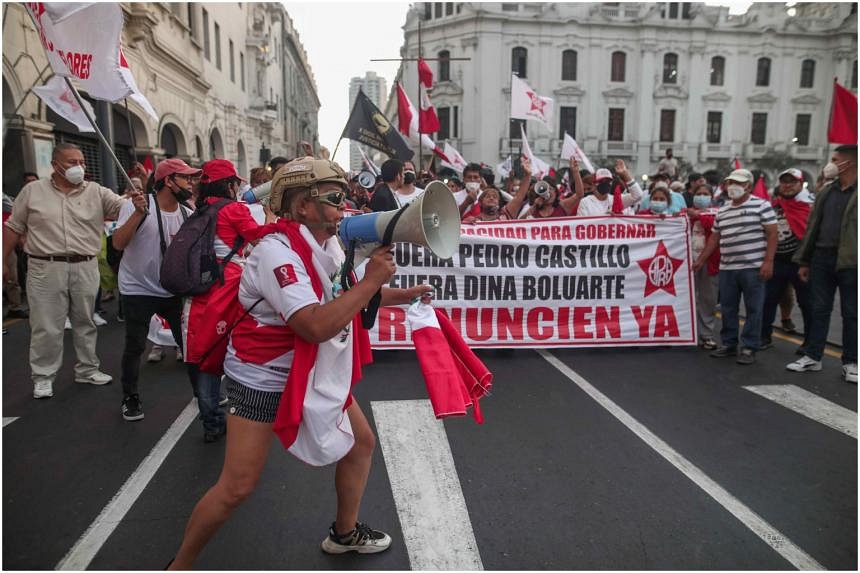 Hundreds Of Peruvians March To Demand President Resign | The Straits Times