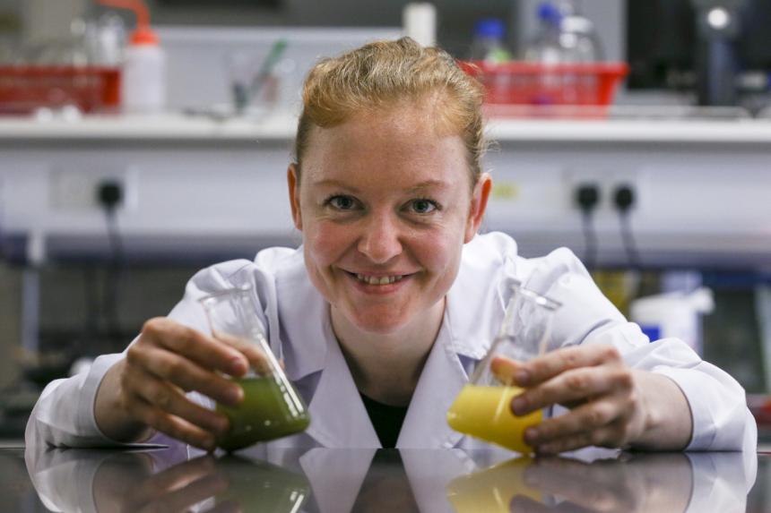 S’pore researchers working on creating sustainable, nutritious food from microalgae