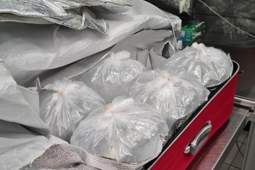 Three Malaysians arrested after eels found at Amsterdam airport | The