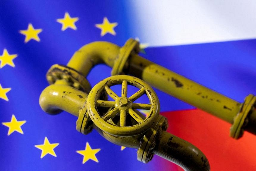 EU Warned Against Swapping Russian Gas For More Fossil Fuels | The ...