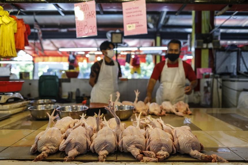 Malaysia to end price caps for chicken by July, will give cash aid to poor instead