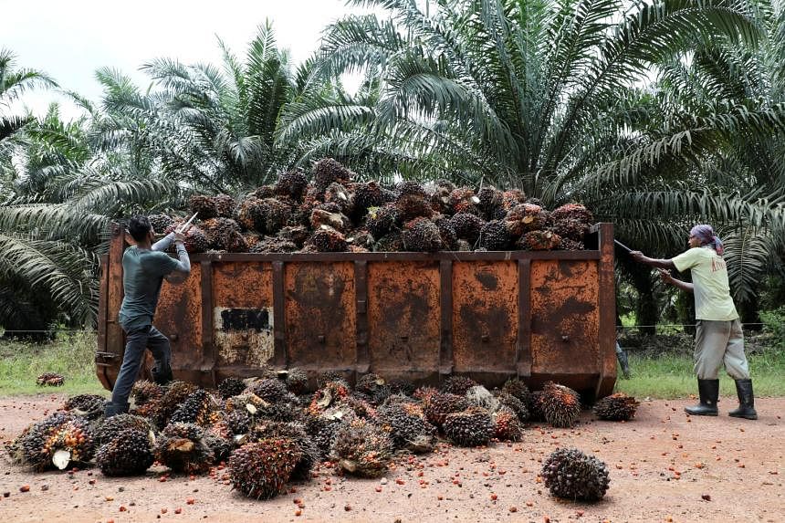 Malaysia state firm weighs IPO for $1.39 billion palm oil arm