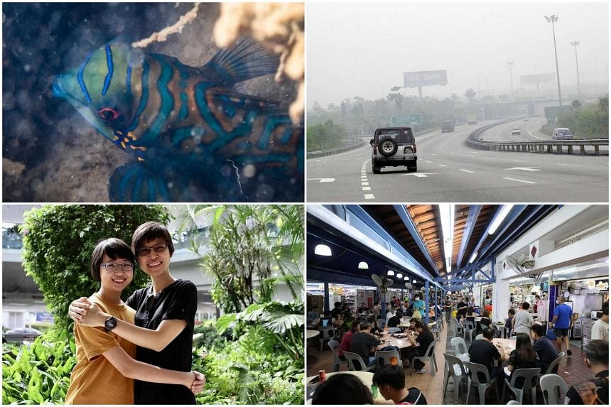 This week's top reads from The Straits Times, June 25