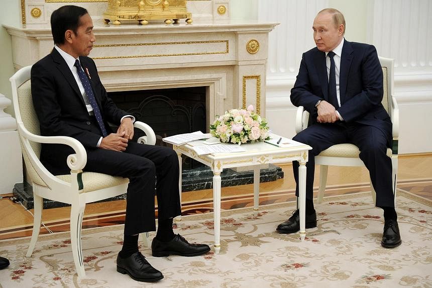 Indonesia leader says urged G-7 to ensure Russia sanctions don't affect food, fertiliser