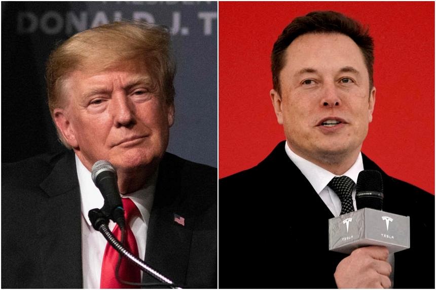 Donald Trump Should Forget About Running For US President In 2024: Elon ...