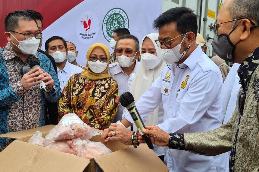 Indonesia mulai kirim ayam beku ke Singapura
